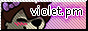 violet's procyon